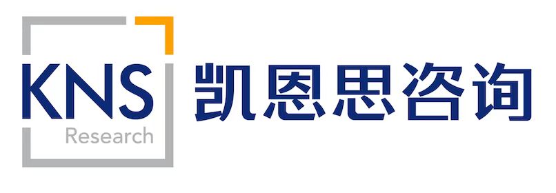 KNS Logo